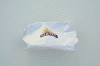 soap wrapper